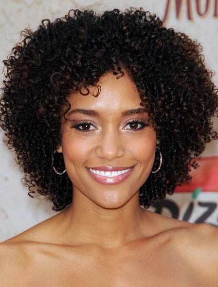 New Fashion Charm Afro Short Kinky Curly Lace Front Human Hair Wig ...